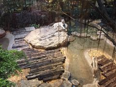 -麒麟中餐厅·经典粤菜·地道菜式老字号(广州长隆酒店)