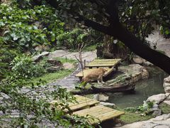 -广州长隆野生动物世界