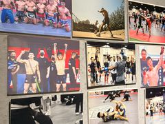 -格斗兄弟搏击健身训练馆(望京店)