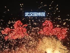 -武汉园博园(武汉自然博物馆)