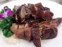 农家豆豉鹅-美景家宴