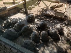 -卡塞拉自然公园