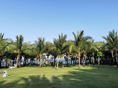 -三亚海棠湾喜来登度假酒店