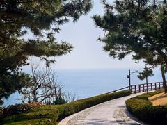-燕儿岛山公园