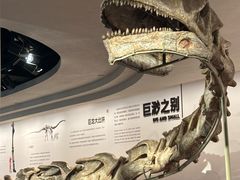 -自贡恐龙博物馆