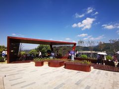 -牛岗山公园