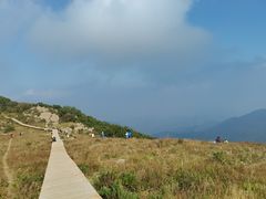 -白草畔自然风景区