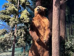 -陕西自然博物馆