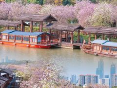 -广东花都湖国家湿地公园