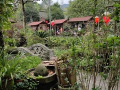 -青城甲(青城山店)