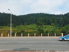 -西江传说•酸汤鱼(水东路店)
