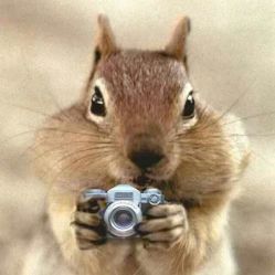 -梵梦影像馆(绿博园店)