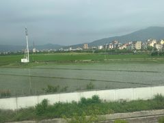 -力美健(中华店)