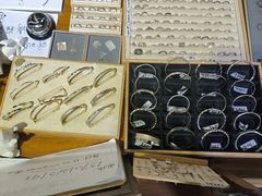 -十八字金·银饰·拼豆·开蚌DIY(魏公芳华里店)