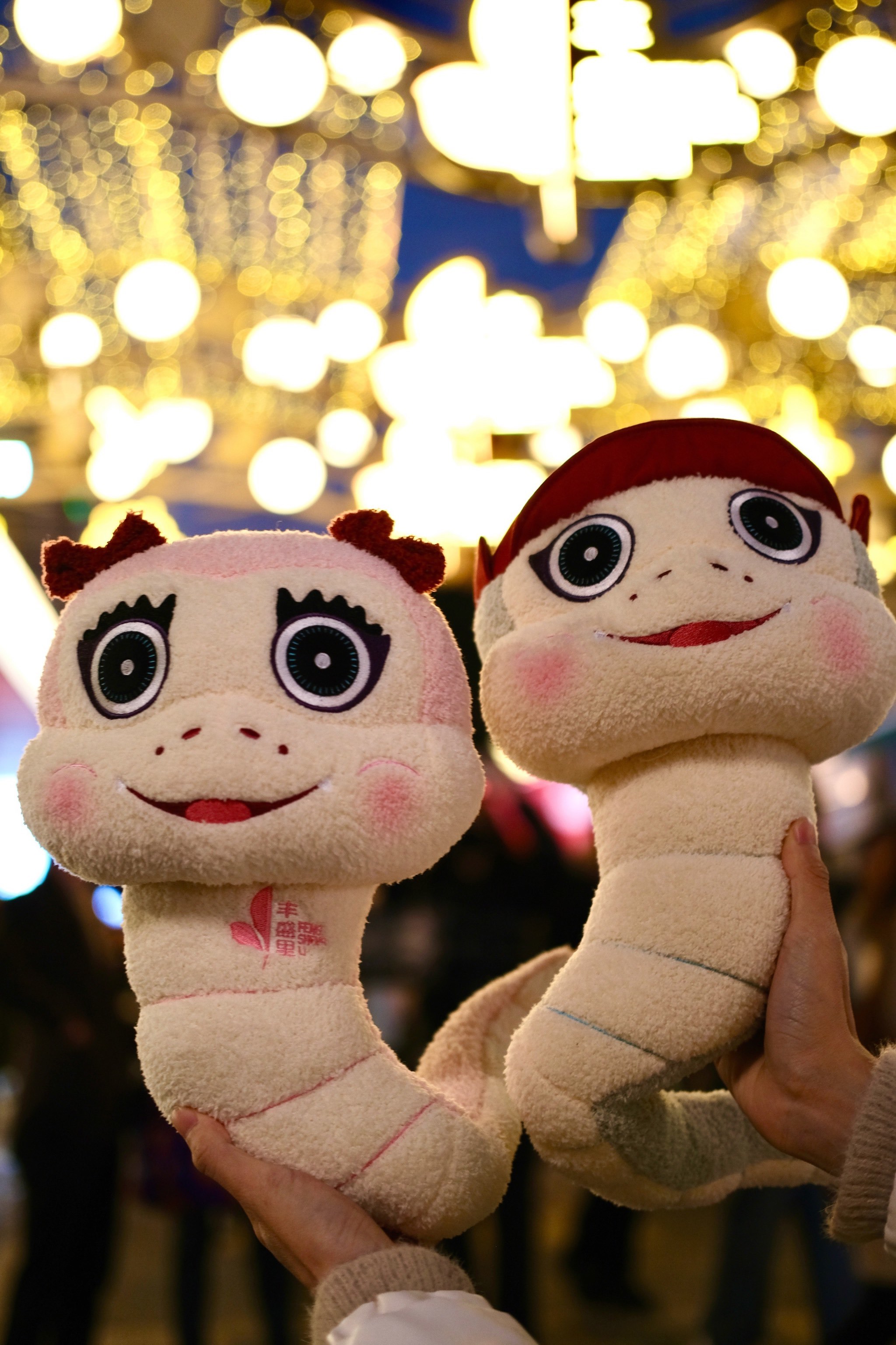 ²⁰²⁵ ້🎇愿丰盛 此刻 来年 都幸福°꒰♥️