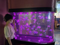 -烟台海昌鲸鲨海洋公园