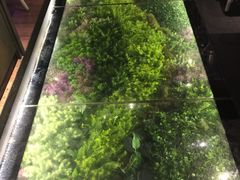 -炭舍干锅·烤鱼(扬名广场店)