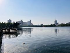 -莲花池公园