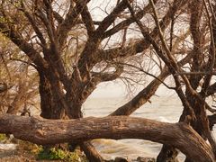 -呈贡滇池生态湿地公园