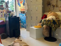 -平行世界·猫咖(首经贸店)