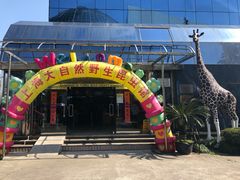 -上海大自然野生昆虫馆(东方明珠·爬宠昆虫探索中心)