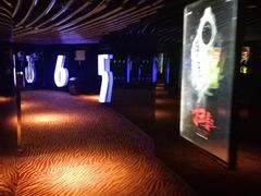 -上海金逸影城(静安大悦城店（原新恒星影城）)