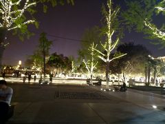 -大雁塔北广场音乐喷泉