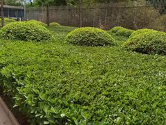 -中央广播电视总台(光华路办公区)