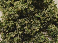 -全聚德烤鸭店(和平路店)