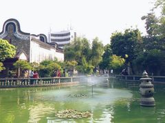 -碧江金楼