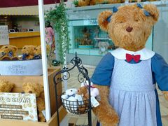 -济州岛泰迪熊博物馆