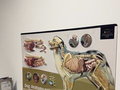 -北京派仕佳德动物医院·超导核磁·CT·神经科·骨科·内外科·急重症管理中心
