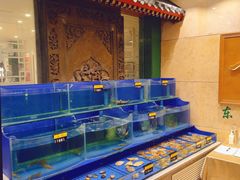 -东来顺饭庄(王府井步行街店)