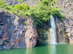 -上海辰山植物园