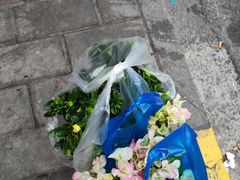 -双季花艺园艺市场(浦东店)