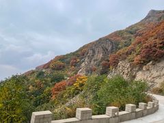 -白草畔自然风景区