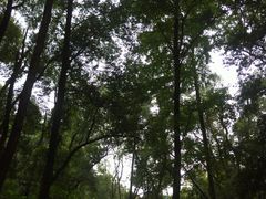 -石燕湖生态旅游景区
