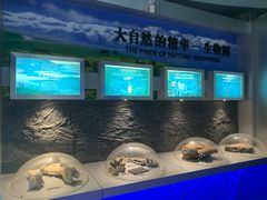 -中国地质大学逸夫博物馆