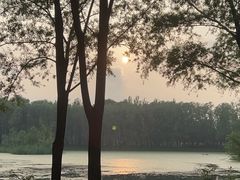 -东郊湿地公园