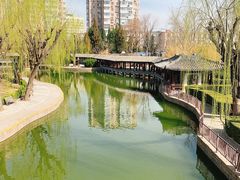 -团结湖公园