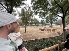 -辛玛王国游乐园