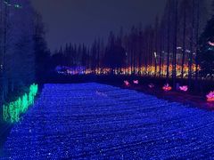 -金沙遗址博物馆