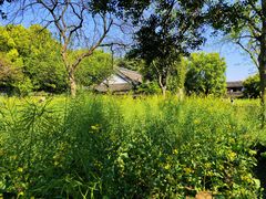 -绍兴鲁迅故里·沈园景区