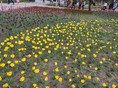 -长春公园(普阳街道)