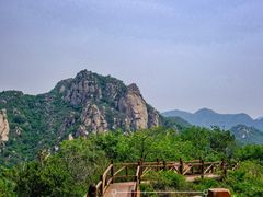 -大岭沟猕猴桃谷风景区
