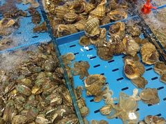 -双合园·海鲜水饺青岛菜(九水东路店)