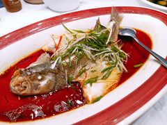 -院里寻菜·精致庭院菜(观沙岭店)