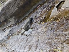 -狼牙山风景区