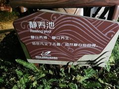-碧桂园润杨溪谷温泉酒店