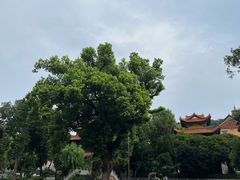 -宝通禅寺